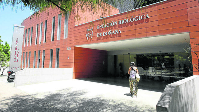 La sede de la Estación Biológica de Doñana, en la isla de la Cartuja.