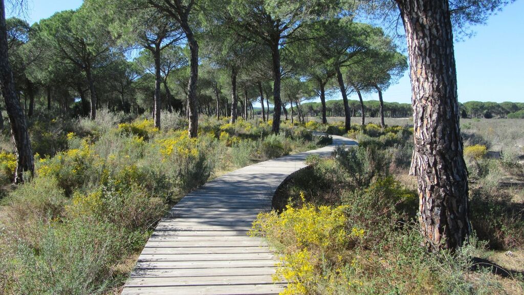 Este paisaje de Huelva, uno de los m&aacute;s bonitos de Espa&ntilde;a para disfrutar los colores de la primavera